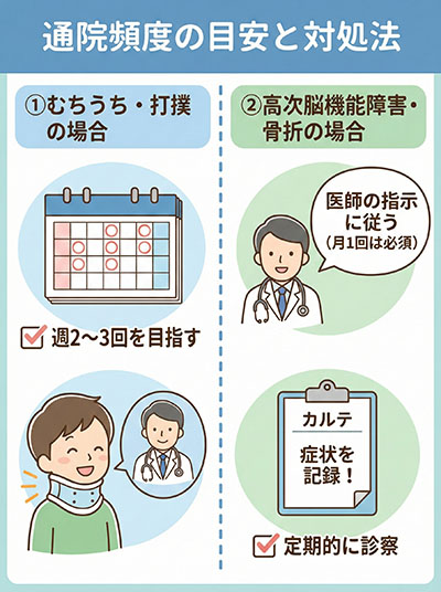 通院頻度の目安と対処法（むちうち・打撲／高次脳機能障害・骨折）